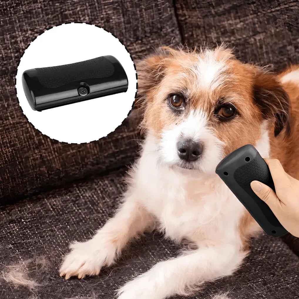 GroomBrush - Brosse de toilettage