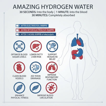 Hydrogen water bottle with portable wellness and easy hydration