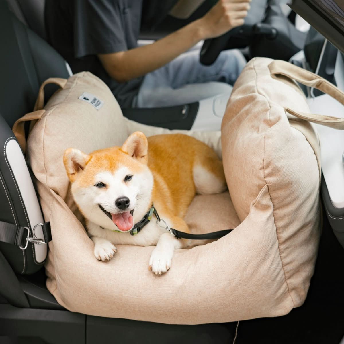 Siège auto pour chien en tissu Oxford - maintien stable en voyage