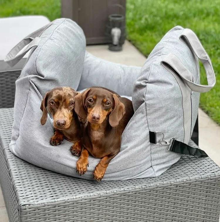 Siège auto pour chien en tissu Oxford - maintien stable en voyage