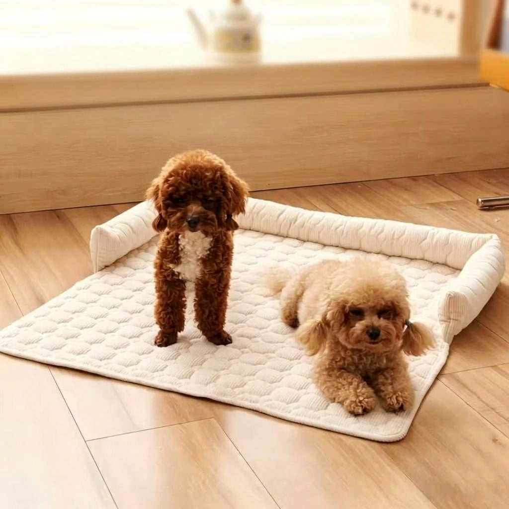 Dog sofa cushion with raised edge and non-slip backing