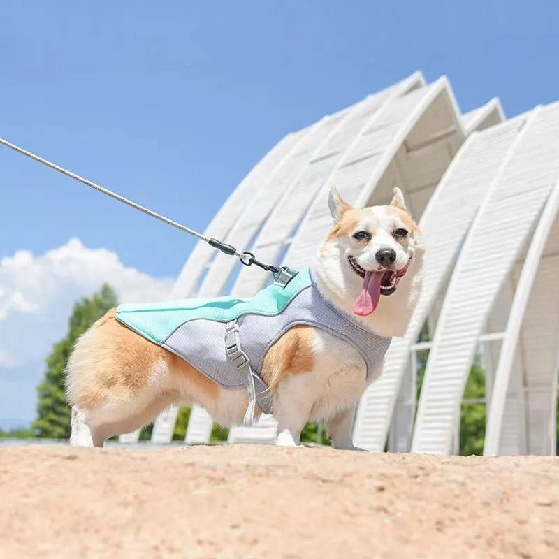 Cooling dog vest with adjustable harness for warm weather comfort