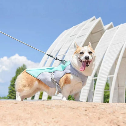 Cooling dog vest with adjustable harness for warm weather comfort