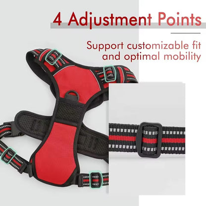 Escape-proof dog harness with lead and waste bag dispenser