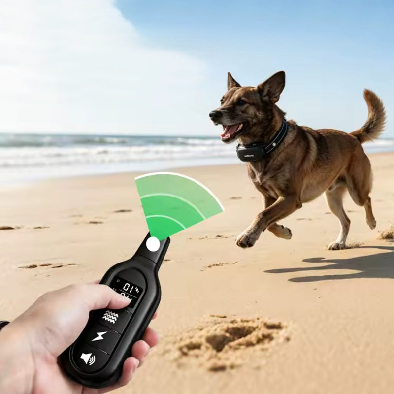 Waterproof rechargeable dog training collar | 1000m range