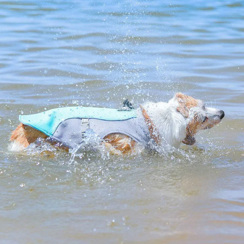 Cooling dog vest with adjustable harness for warm weather comfort
