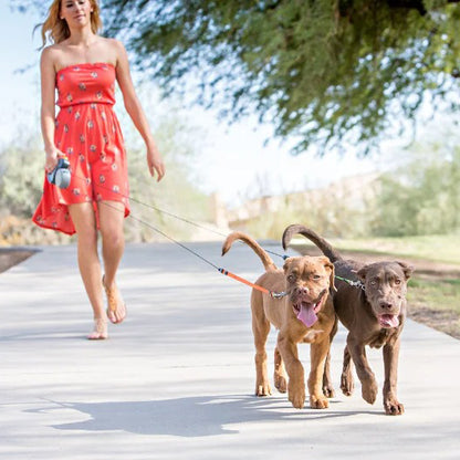 3-in-1 double dog lead with 360° rotation, LED light & bag holder