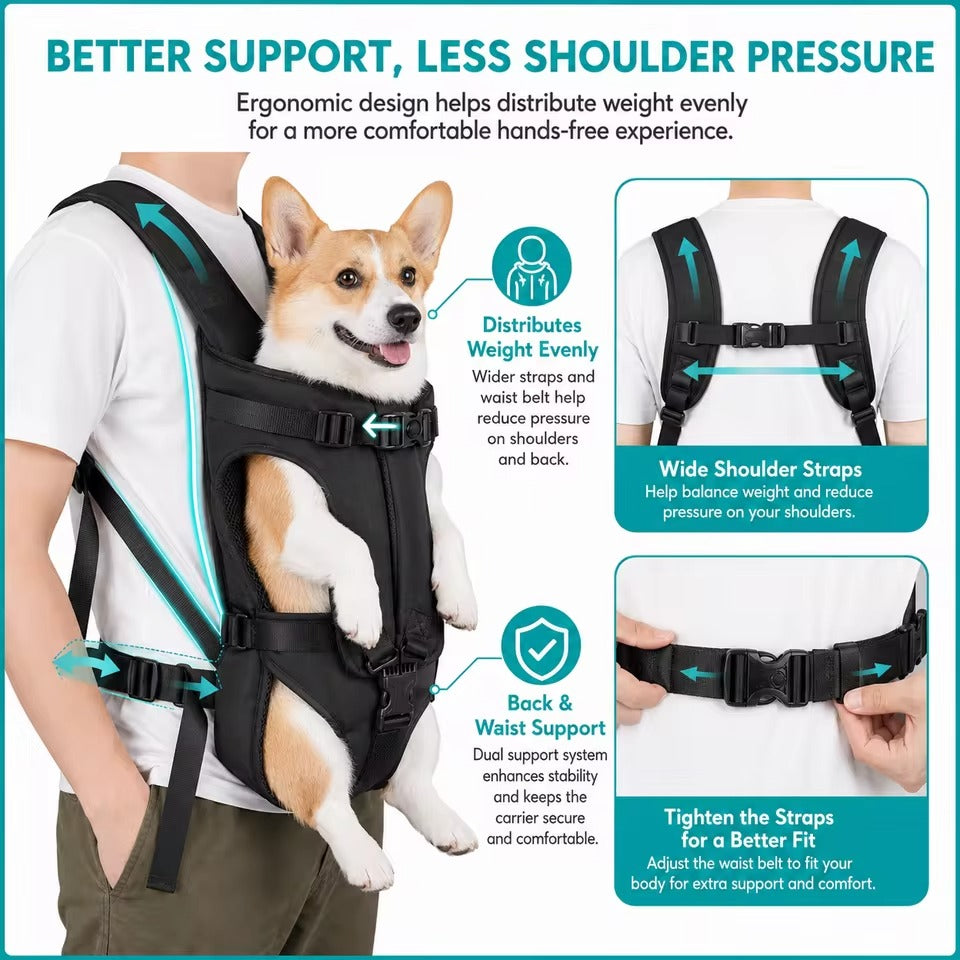 Pet carrier bag - Breathable mesh with stable semi-rigid frame
