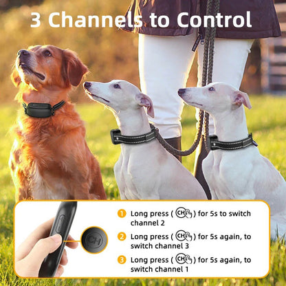 Waterproof rechargeable dog training collar | 1000m range