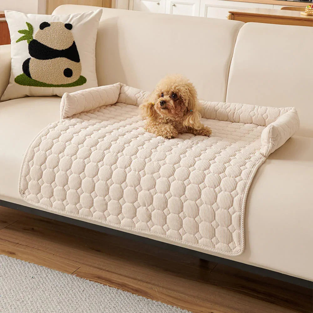 Coussins pour chiens - Protection canapé
