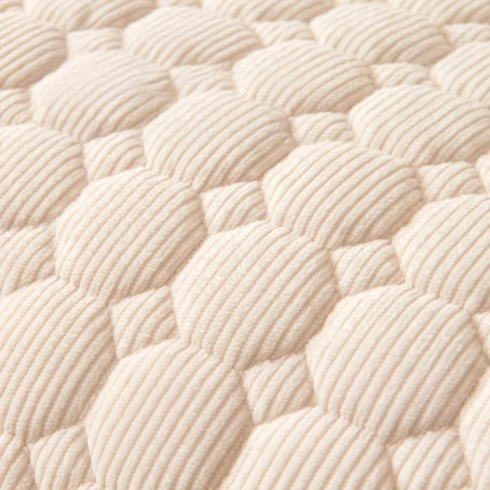 Coussins pour chiens - Protection canapé