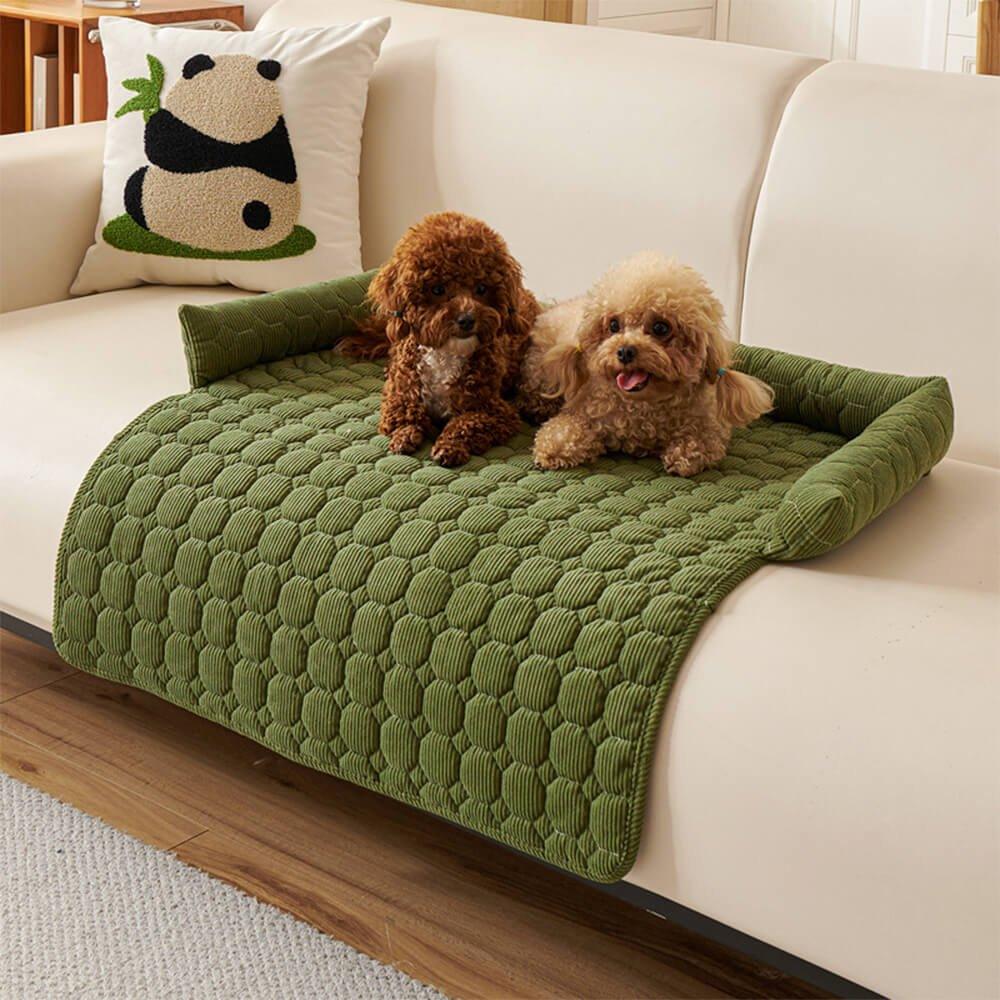 Coussins pour chiens - Protection canapé