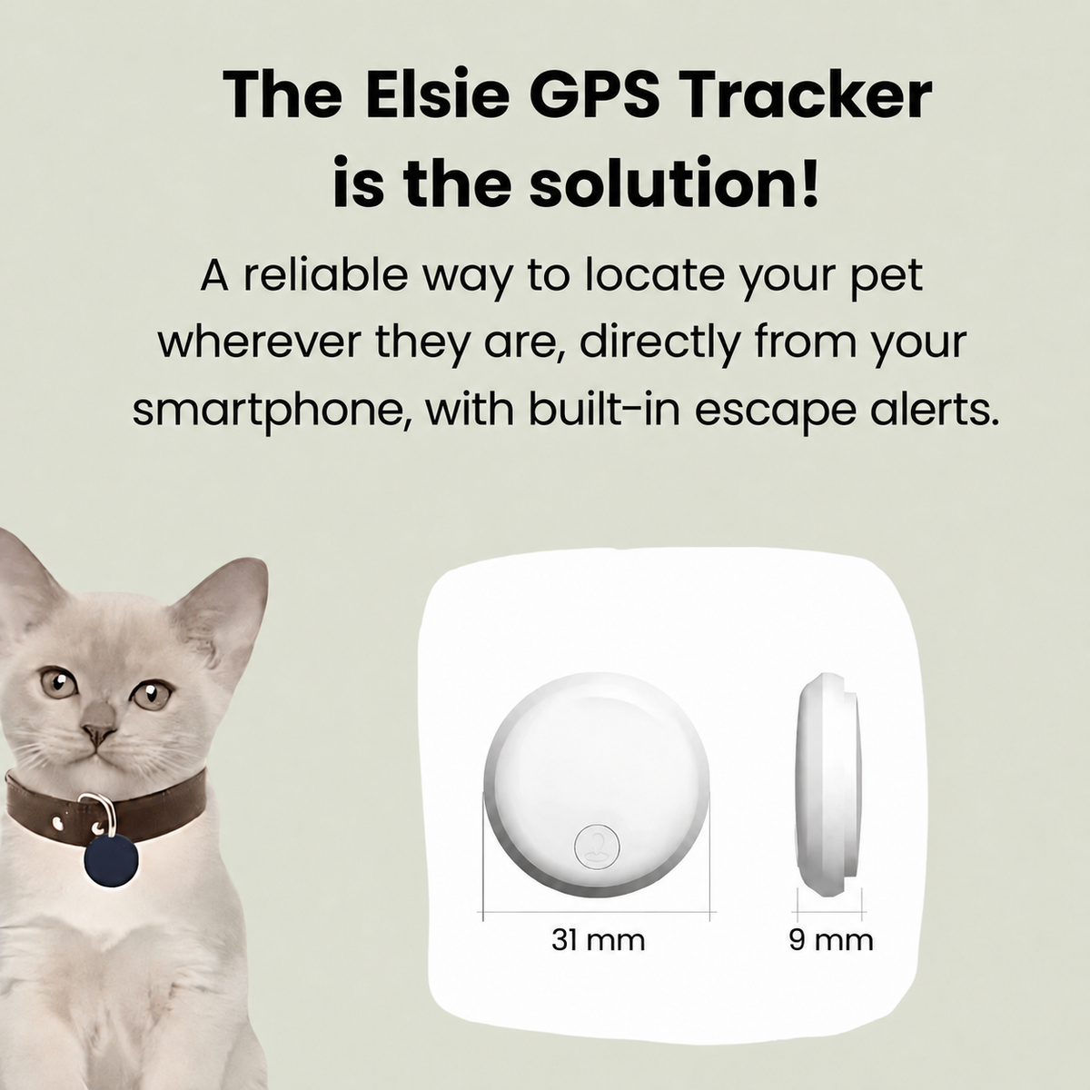Cat GPS Tracker - Elsie - Android / iOS
