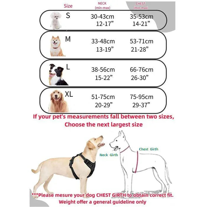 Harnais anti-évasion chien + laisse et distributeur – réglable et réfléchissant