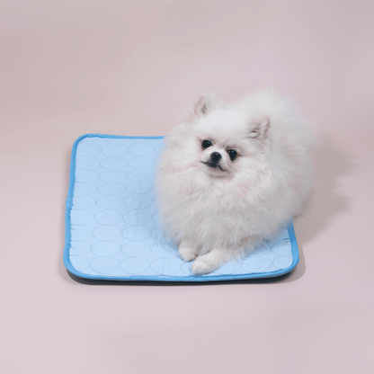 Tapis Rafraîchissant pour Chien – Confort et Fraîcheur Pendant l’Été