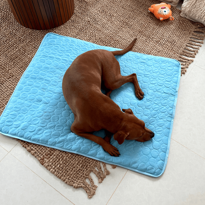 Tapis Rafraîchissant pour Chien – Confort et Fraîcheur Pendant l’Été