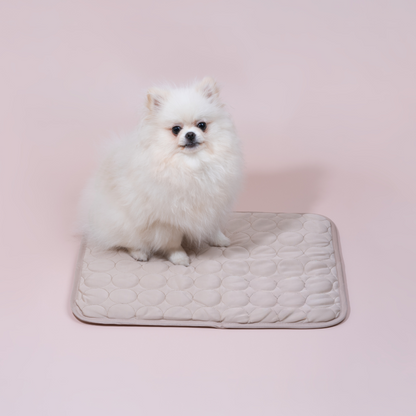 Tapis Rafraîchissant pour Chien – Confort et Fraîcheur Pendant l’Été